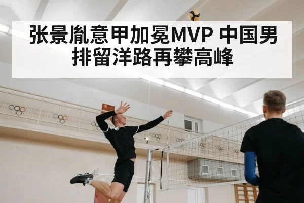 张景胤意甲加冕MVP 中国男排留洋路再攀高峰