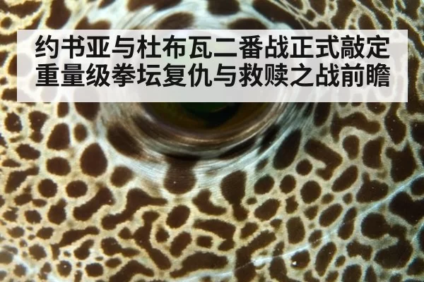 约书亚与杜布瓦二番战正式敲定 重量级拳坛复仇与救赎之战前瞻
